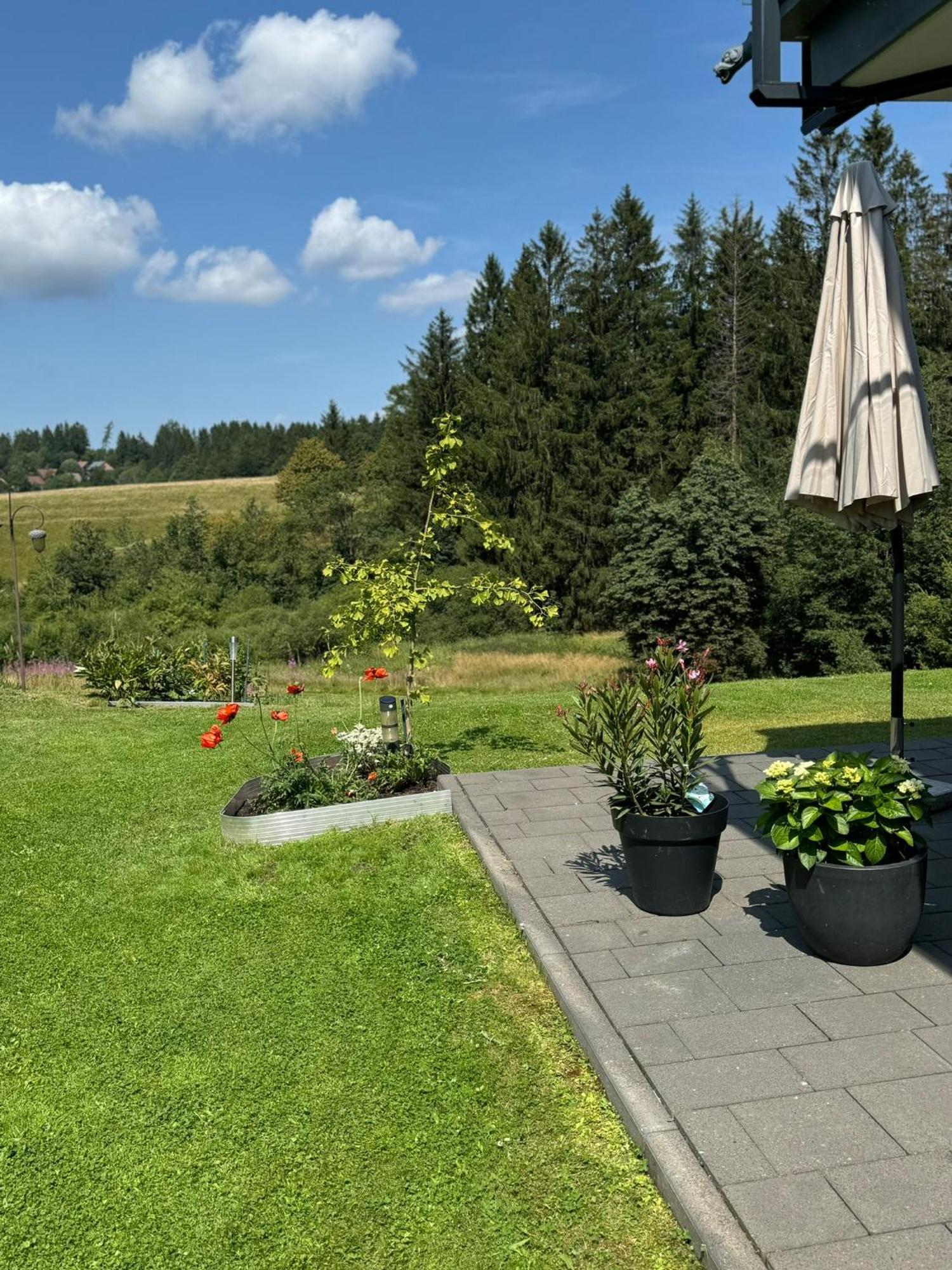 Apartment Max Clausthal-Zellerfeld